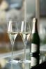 Stölzle Lausitz QUATROPHIL Champagnerglas 290 ml 6er Set Bild 4