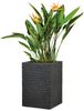 Scheurich Muretto High 60, Hochgefäß/Blumentopf/Pflanzkübel, viereckig, aus Kunststoff Farbe: Stony Black, 26 cm Durchmesser, 59 cm hoch, 9 l Vol. Bild 5