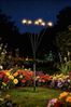Dapo LED Solarstecker Glühwürmchen warmweiß Bild 3