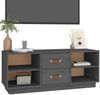 vidaXL TV-Schrank Grau 100x34x40 cm Massivholz Kiefer 818227 Bild 4