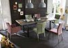 TABLES&CO Tisch 220x100 Altholz Bunt Stahl Schwarz Bild 4