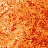 9411 Sun Fire - 200 x 280 Bild 4