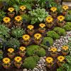Vier LED Solarleuchten in Form einer Blume Bild 3