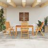 vidaXL Garten Essgruppe Faltbar 5 pcs Braun Massivholz Akazie 3375619 Bild 4