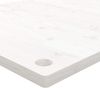 vidaXL Schreibtischplatte Weiß 100x60x2,5 cm Massivholz Kiefer 824466 Bild 5