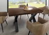 Baumtisch Akazie 140x90x77 braun lackiert / X-Beine anthrazit glänzend FREEFORM 5 Bild 3