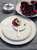 Rosenthal Speiseteller TAC Gropius Festive Celebration (28cm) 11280-426373-10229 Bild 2