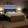 vidaXL Boxspringbett mit Matratze Hellgrau 200x200 cm Samt 3294736 Bild 4