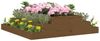 vidaXL Pflanzkübel Honigbraun 110x110x27 cm Massivholz Kiefer 823902 Bild 3