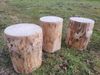 Kistenkolli Altes Land Allzweckkiste Holzstamm Sitzhocker gehobelt Höhe ca 40-42cm Durchmesser ca 28-30cm (Spar-Set, 1er Set) Bild 3