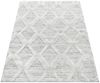 Hochflor Teppich Pepe rechteckig - 160x230 cm - Grau Bild 3