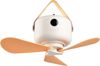 Reality Leuchten LED Deckenleuchte RENA mit Ventilator, Akku-Hängeventilator mit Licht Ø 27cm Höhe 9cm, Dimmfunktion, USB-Ladefunktion, Ventilatorfunktion, getrennt schaltbar, mehrere Helligkeitsstufen, LED fest integriert, Kaltweiß, LED dimmbar, USB-L... Bild 2