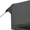 vidaXL Profi-Partyzelt Faltbar Aluminium 6x3 m Anthrazit 45503 Bild 5