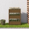 vidaXL Pflanzkübel Honigbraun 77x25x104,5 cm Massivholz Kiefer 823937 Bild 3