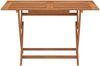 vidaXL Gartentisch Klappbar 120x70x75 cm Massivholz Eukalyptus 316621 Bild 2