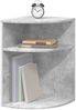 vidaXL Beistelltisch Beton Grau 39,7 x 39,7 x 60 cm Holzwerkstoff 891133 Bild 3