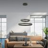 Paul Neuhaus 8420-13 Q-VITO Pendelleuchte Doppelring Anthrazit 60cm Bild 2