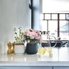 Relaxdays 2 x Glaskaraffe mit Deckel 1,8 Liter Bild 3