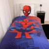 Spiderman Bettwäsche Spiderman, Renforcé, 2 teilig, mit coolem Motiv Bild 2