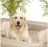 Hobbydog Tierbett Hundebett Schlafplatz Hundekissen Hundesofa Tierbett Hundematratze Bild 4