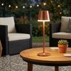 2er Set LED Solar Tischleuchte, champagner, 2 Höhen möglich, H 41 cm Bild 2