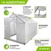 BRAST Gewächshaus Aluminium mit Fundament rostfrei 6mm Platten 310x190x195cm Silber - TÜV geprüft Bild 5