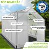 BRAST Gewächshaus Aluminium mit Fundament rostfrei 6mm Platten 310x190x195cm Silber - TÜV geprüft Bild 2