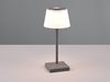 Akku Aussen Tischleuchte Anthrazit LED SANCHEZ Lampe USB Farbwechsler ca. 30 cm Bild 3