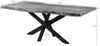 Baumtisch Sheesham 180x90x79 natur sandgestrahlt / Mikado-Beine anthrazit matt FREEFORM 5 Bild 5