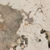 _ProductVariantImage_1bilg_102