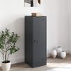 Sideboard, Kommode Anthrazit 34,5x39x107 cm Stahl j922p Bild 3