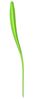 Kochblume Design-Wender 30 cm limette Bild 2
