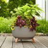 Siena Garden M82580 Oslo Pflanzgefäß 40 cm, Ø40 x 25cm, anthrazit Bild 4
