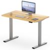 FLEXISPOT Schreibtisch Basic Plus Elektrisch höhenverstellbarer Schreibtisch (2 Motore & 2-Fach-Teleskop & 4 Höhenspeichertasten), MIT einteiliger Tischplatte, 120/140/160 Bild 4