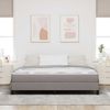 vidaXL Boxspringbett mit Matratze Taupe 180 x 200 cm Stoff 3398511 Bild 3