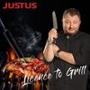 Justus 'Grilleau 2' Tischgrill, BBQ-Plancha Gasgrill, silber, 2 Brenner Bild 4