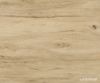 Sideboard Cuor 150 cm Keramik Laminam® Sabbia Eichefarbig 3 Türen Fuß Schwebeoptik Edelstahl Bild 3