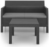 vidaXL 2-tlg. Garten-Lounge-Set mit Kissen PP Rattan Anthrazit 3079667 Bild 3