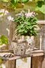 Ib Laursen Blumentopf Ib Laursen Blumentopf Pflanztopf Meadow Blossom Bild 1
