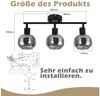 Nettlife Deckenstrahler Küchenlampe 2/3/4/6 Flammig Modern E14 Rauchglas Deckenleuchte, Schwenkbar, LED wechselbar, Wohnzimmerlampe für Schlafzimmer Flur Küche Bild 3