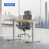 FLEXISPOT Schreibtisch Elektrisch Höhenverstellbarer Schreibtisch EC5 LITE mit Dualmotor (25MM einteiliger Tischplatte & 3-fach Teleskop, 4 Speicherhöhen & Antikollisionssystem), 120x80/140x80/160x80/180x80 Bild 2