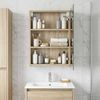 vidaXL Badezimmerspiegelschrank Sonoma-Eiche 40 x 10,5 x 60,5 cm 889025 Bild 4