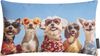 Dekokissen Sofakissen Wendekissen blau Crazy Hunde Dog Sonnenbrille 30x50 cm Bild 2