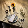 Amefa AUSTIN Kuchengabel Set 6-teilig PVD schwarz mattiert Bild 2