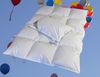 2 x Set Kinder Ganzjahres Daunenbett 100x135 + Kopfkissen 40x60 100% Daunen 4tlg. Bild 4