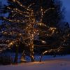Lichterkette ,EXTRA', System 24, Zubehör, 49 LEDs, warmweiß, 5m, 1W Bild 3