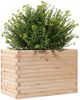 vidaXL Pflanzkübel 70x40x45,5 cm Massivholz Kiefer 847263 Bild 4