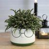 Annastore Übertopf Blumenübertöpfe in witzigem Design (Übertöpfe für Zimmerpflanzen), Blumentöpfe - Übertöpfe aus Keramik - Lustige Blumentöpfe Bild 2