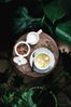 Seltmann Weiden Life Fashion Untertasse ø 13,5 cm 6er Set - Green Chic Bild 4