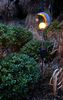 Näve Solar-Gartenleuchte LED Mond 87,5 cm silber Bild 2